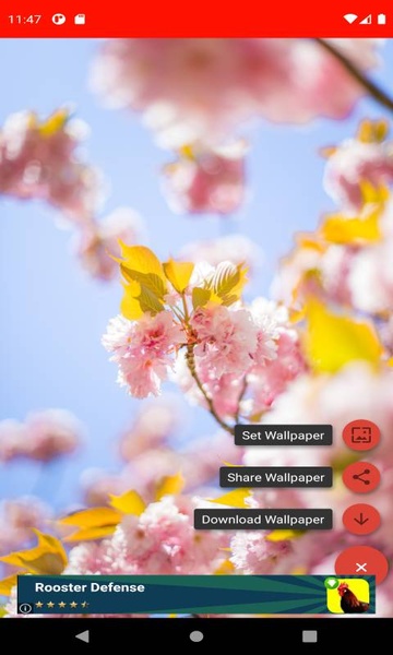 The most beautiful spring pictures around the world 4K - Preview 5