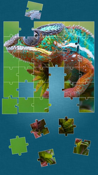 Animals Jigsaw Puzzle - Preview 9