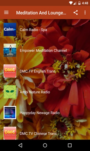 Meditation And Lounge Radio - Preview 5