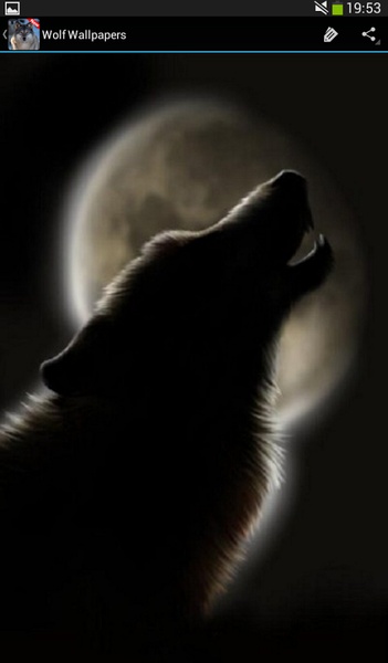 Wolf wallpapers - Preview 1