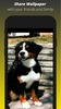 Dog Wallpaper HD screenshot 3