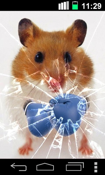 Hamster Live Wallpapper - Preview 3