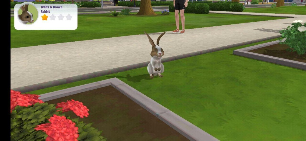 Virtual Sim Story: Dream Life - Preview 5