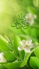 Tawakkal ala allah Live Wallpaper screenshot 2