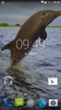 Dolphin 3d. Video Wallpaper screenshot 5
