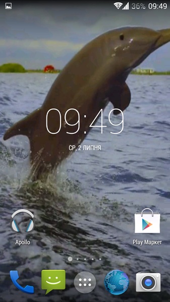 Dolphin 3d. Video Wallpaper - Preview 5