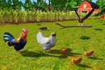 Rooster Simulator - Chick Life screenshot 3