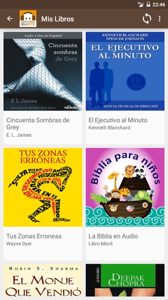 Libro Movil - Preview 13