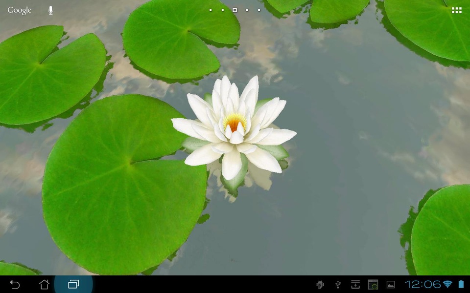 3D Lotus Free - Preview 5