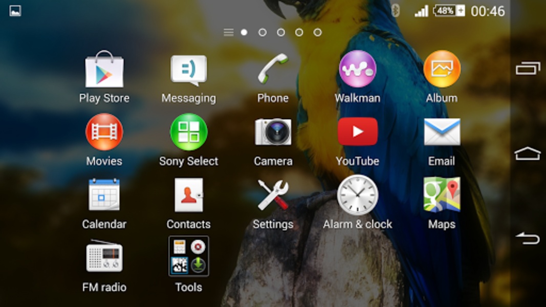 Macaw By Maverick - Preview 2