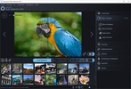 Ashampoo Photo Optimizer screenshot 1