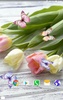 Tulips Live Wallpaper screenshot 4