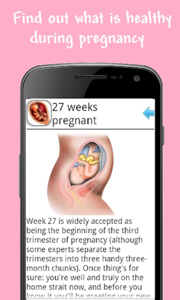 Pregnancy week guide - Preview 2