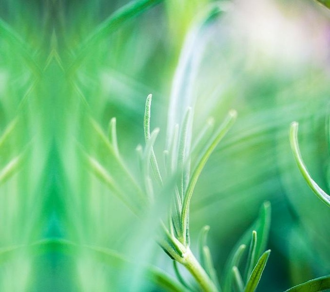 HTC One M8 wallpapers - Preview 14