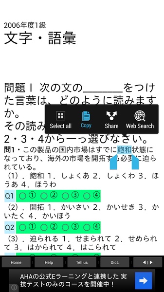 JLPT past test - Preview 5