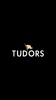 TUDORS screenshot 5