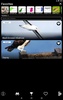 Russian Birds Songs screenshot 7