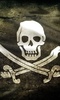 pirate flag live wallpaper screenshot 2