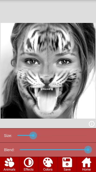 AnimalFaces - Preview 5