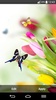 Spring Live Wallpaper screenshot 8