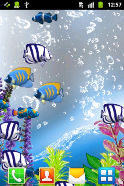 Blue Aquarium Wallpaper - Preview 3