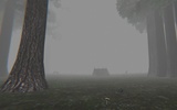 Forest FREE screenshot 4