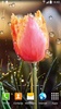 Spring Flowers Live Wallpaper screenshot 6