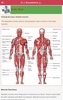 Anatomy & Physiology MIE NCLEX screenshot 11