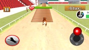 Dog Stunt Training 3D screenshot 2