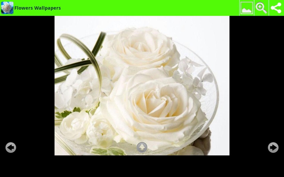 Flowers Wallpapers - Preview 2