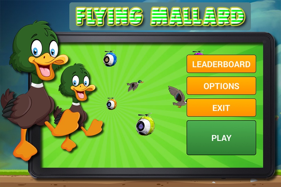 Flying Mallard - Preview 6
