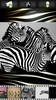 Zebra Wallpapers screenshot 8