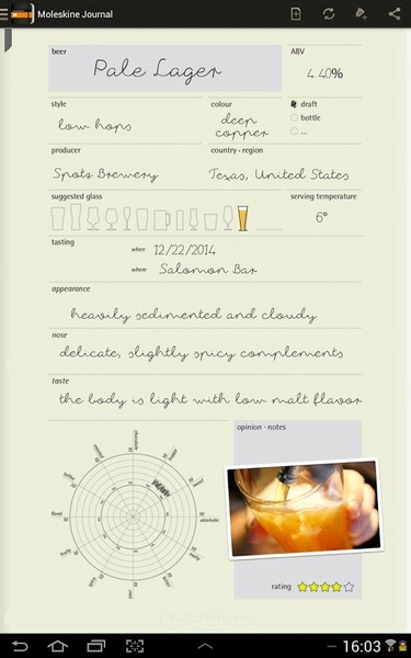 Moleskine Journal - Preview 3