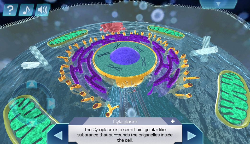 Cell World - Preview 1