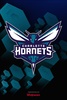 Hornets screenshot 5