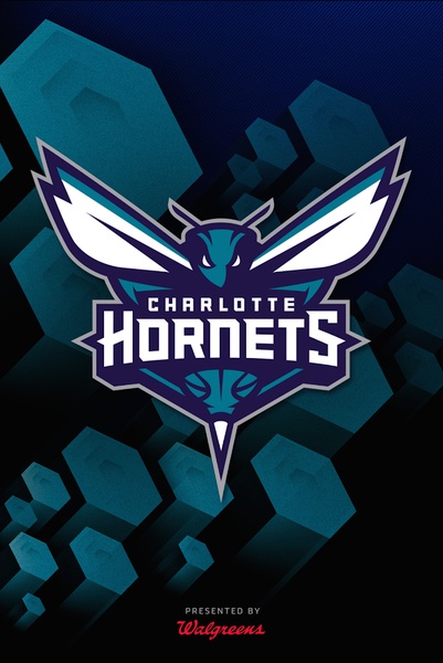 Hornets - Preview 5