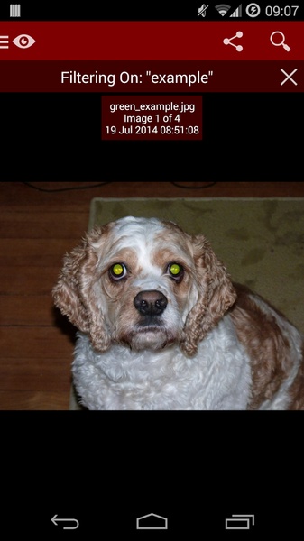 Red Eye Removal (Free) - Preview 3