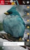 GOSMS angrybirdsrealistic Theme screenshot 4