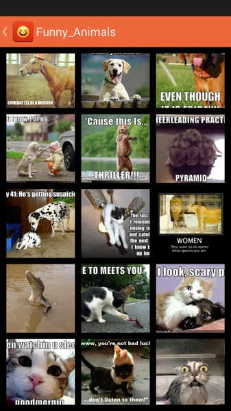Whatapp Images - Preview 2