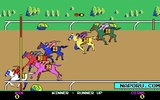 Horse Racing screenshot 1
