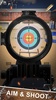 Target Gun Shooter screenshot 4