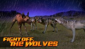 Wild Dog Simulator 3D screenshot 5