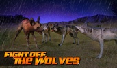 Wild Dog Simulator 3D screenshot 5