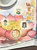 修仙外傳 screenshot 4