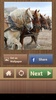 Jeux de Puzzle de Chevaux screenshot 10