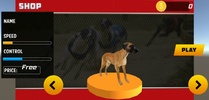 Dog Race 2019 screenshot 1