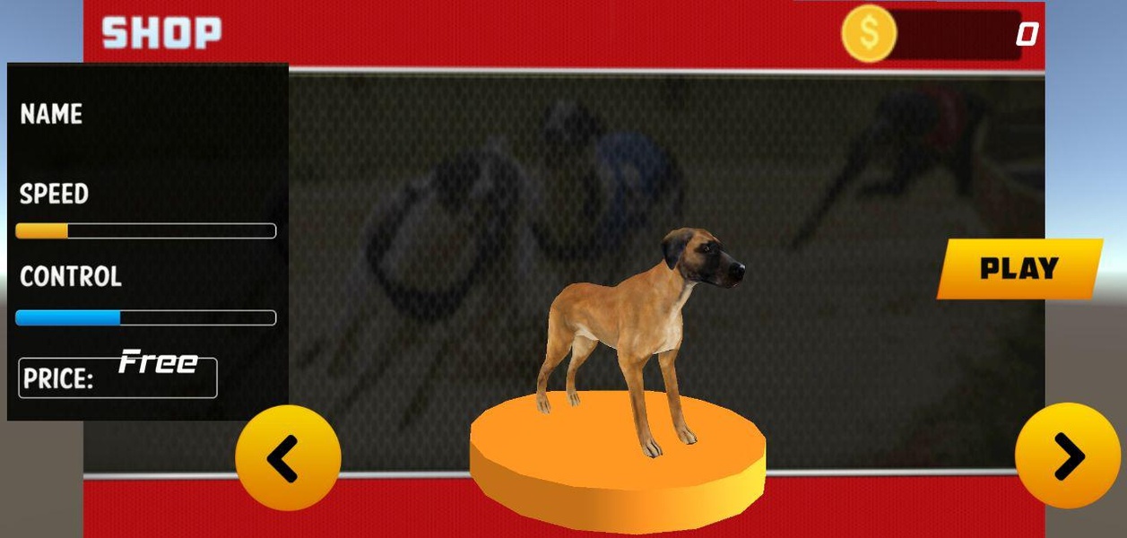 Dog Race 2019 - Preview 1