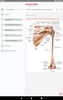 Pocket Anatomy and Physiology screenshot 1