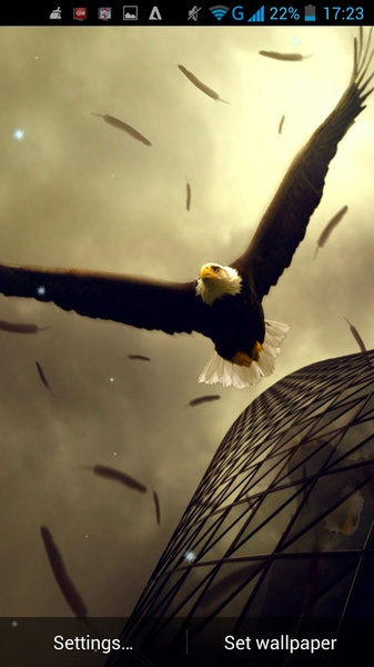 Eagle Live Wallpaper - Preview 5