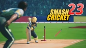 Smash Cricket 23 screenshot 6
